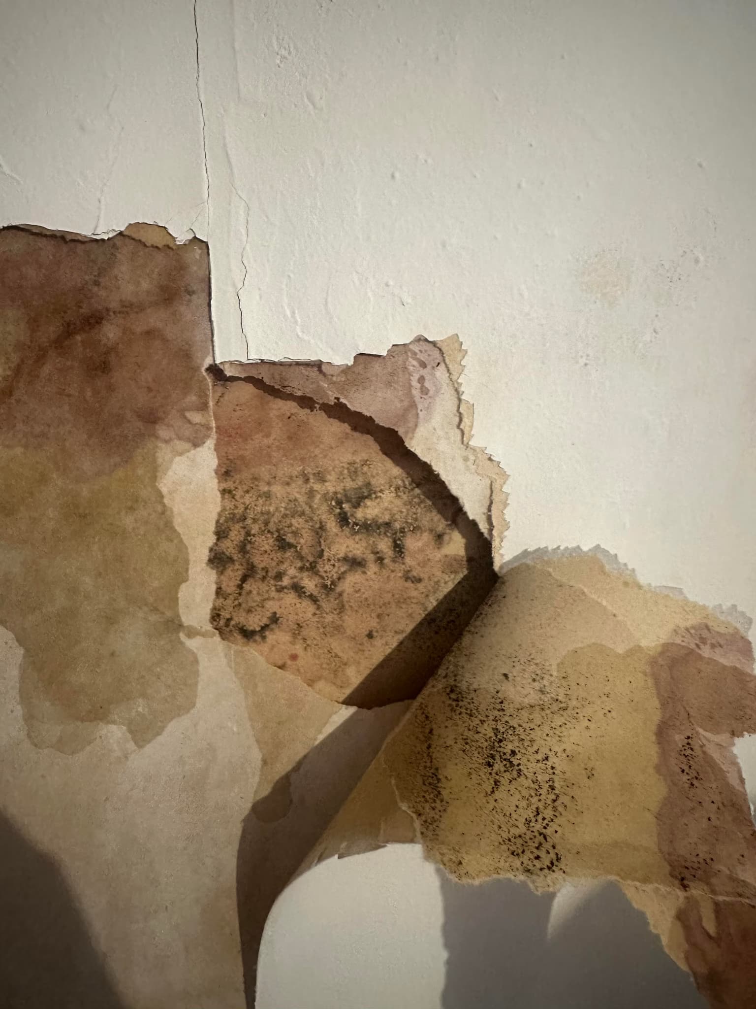 patch roof leaks and flashing