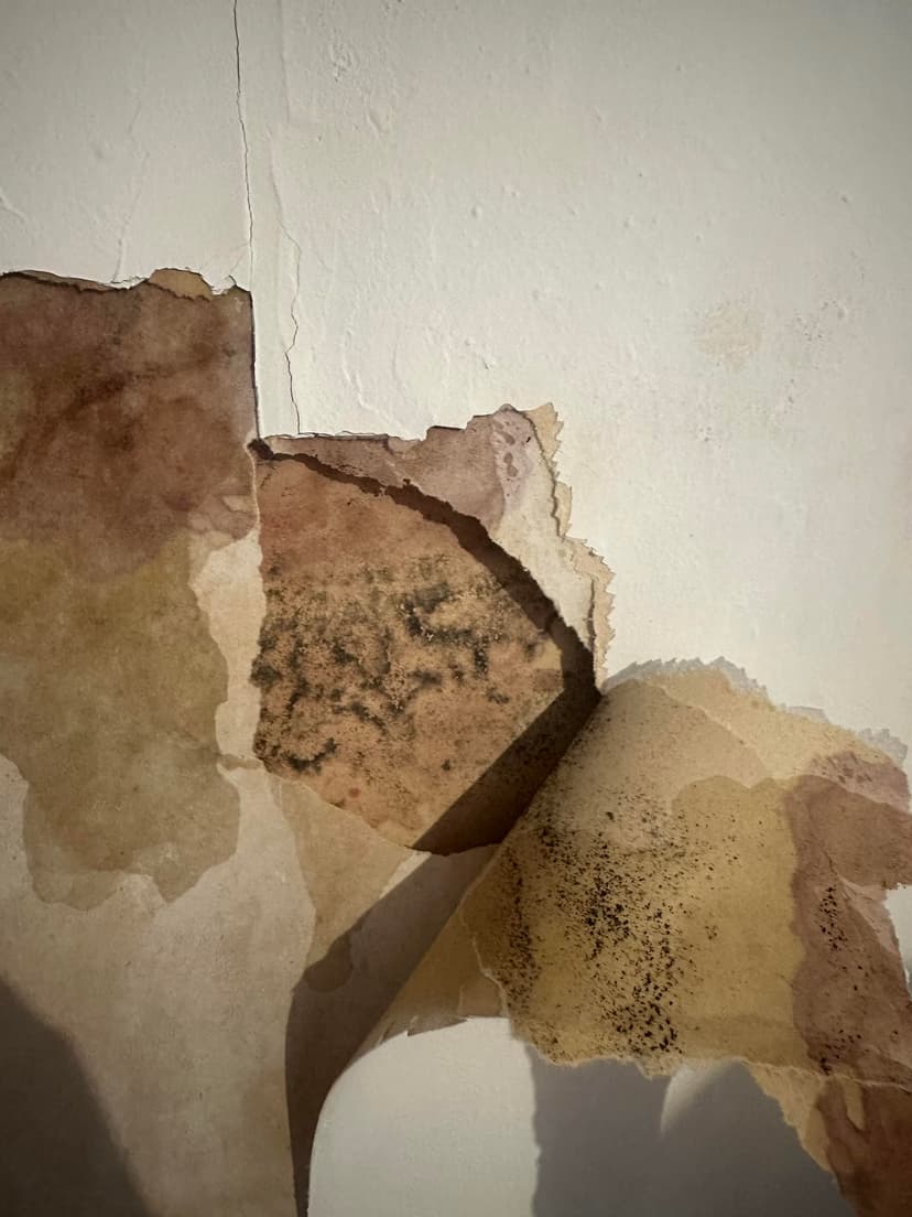 patch roof leaks and flashing