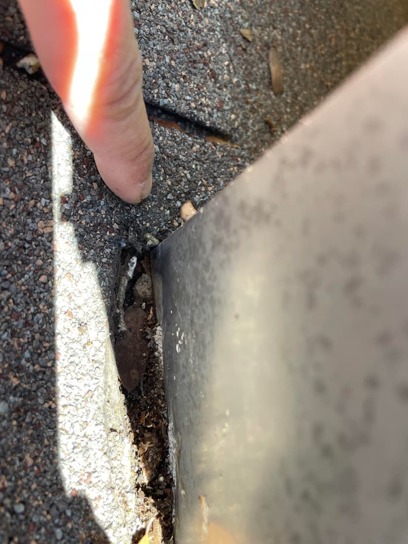 remove deck cover and repair roof