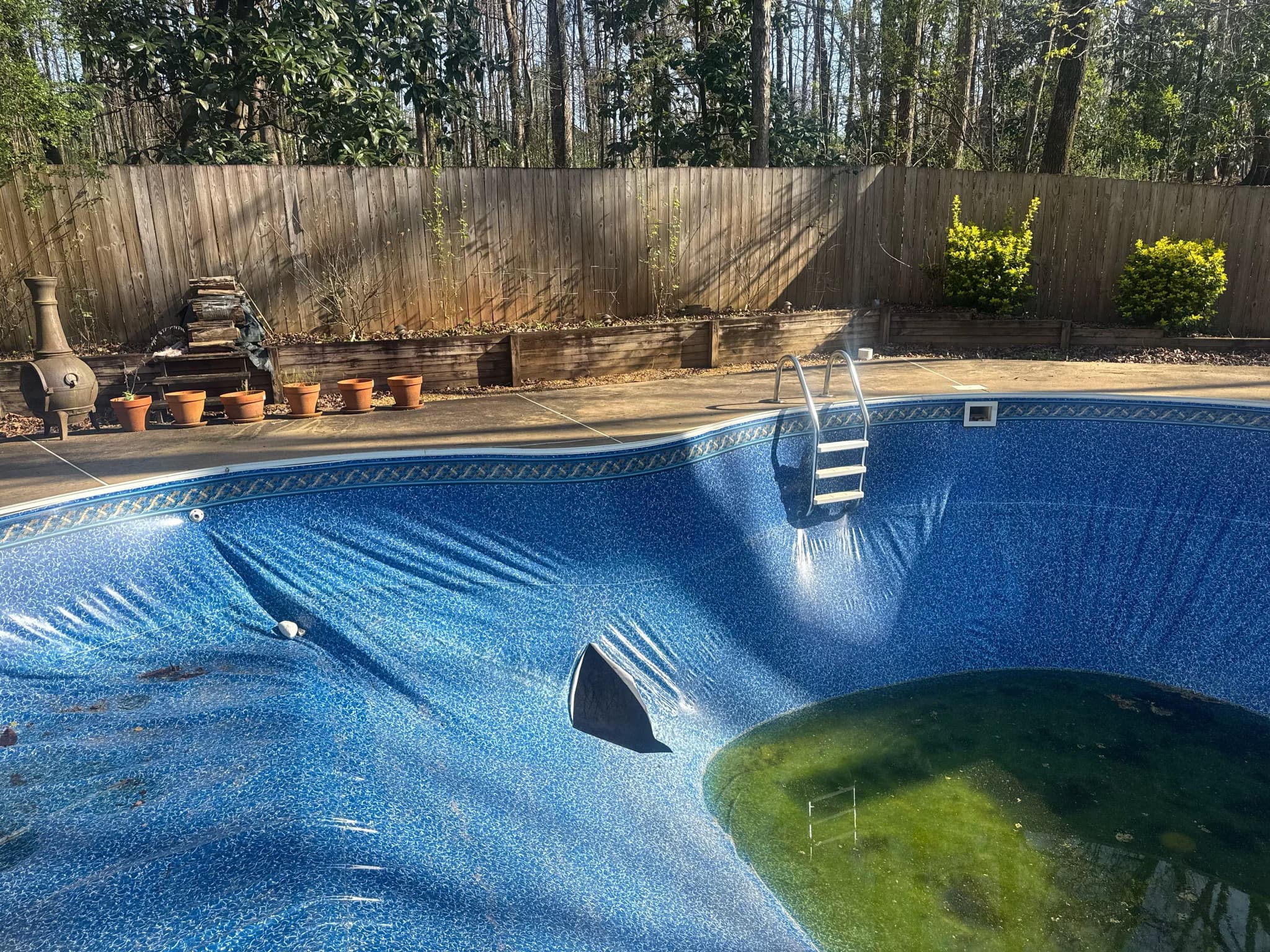 reline a pool and address tree root infiltration