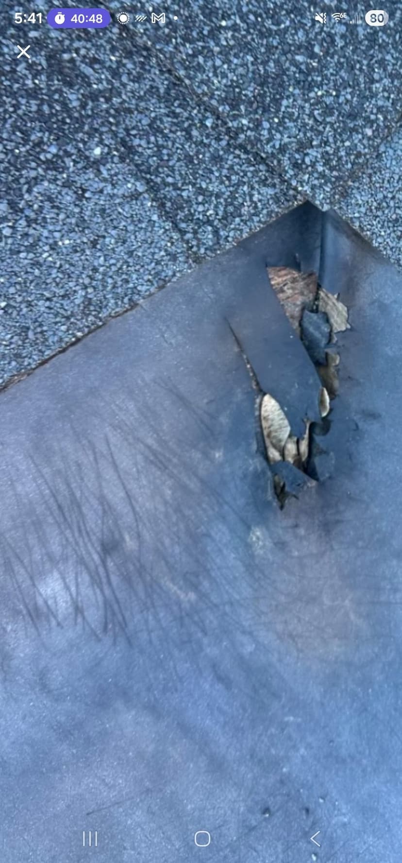 repair racoon damage and unreplaced shingles on roof