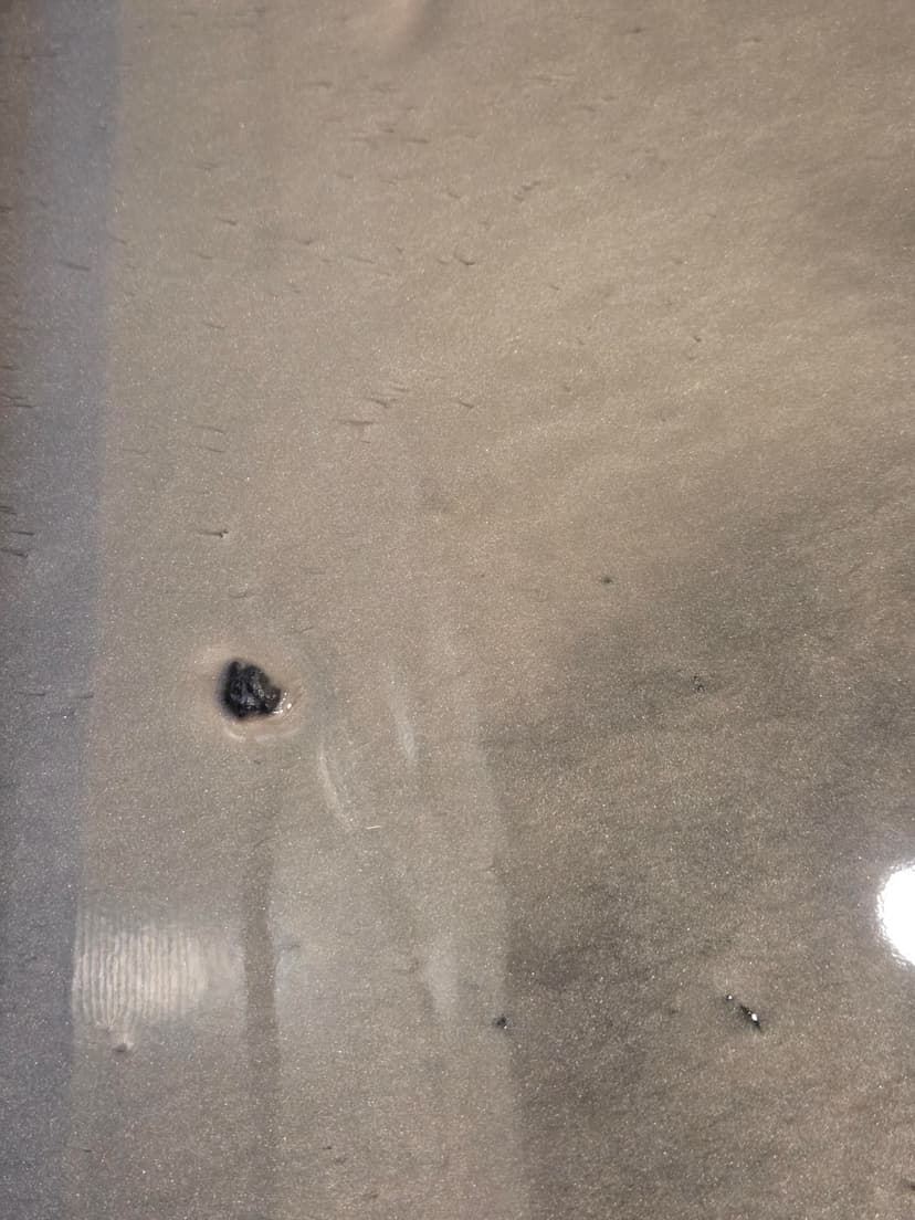 install epoxy floor in basement playroom and gym