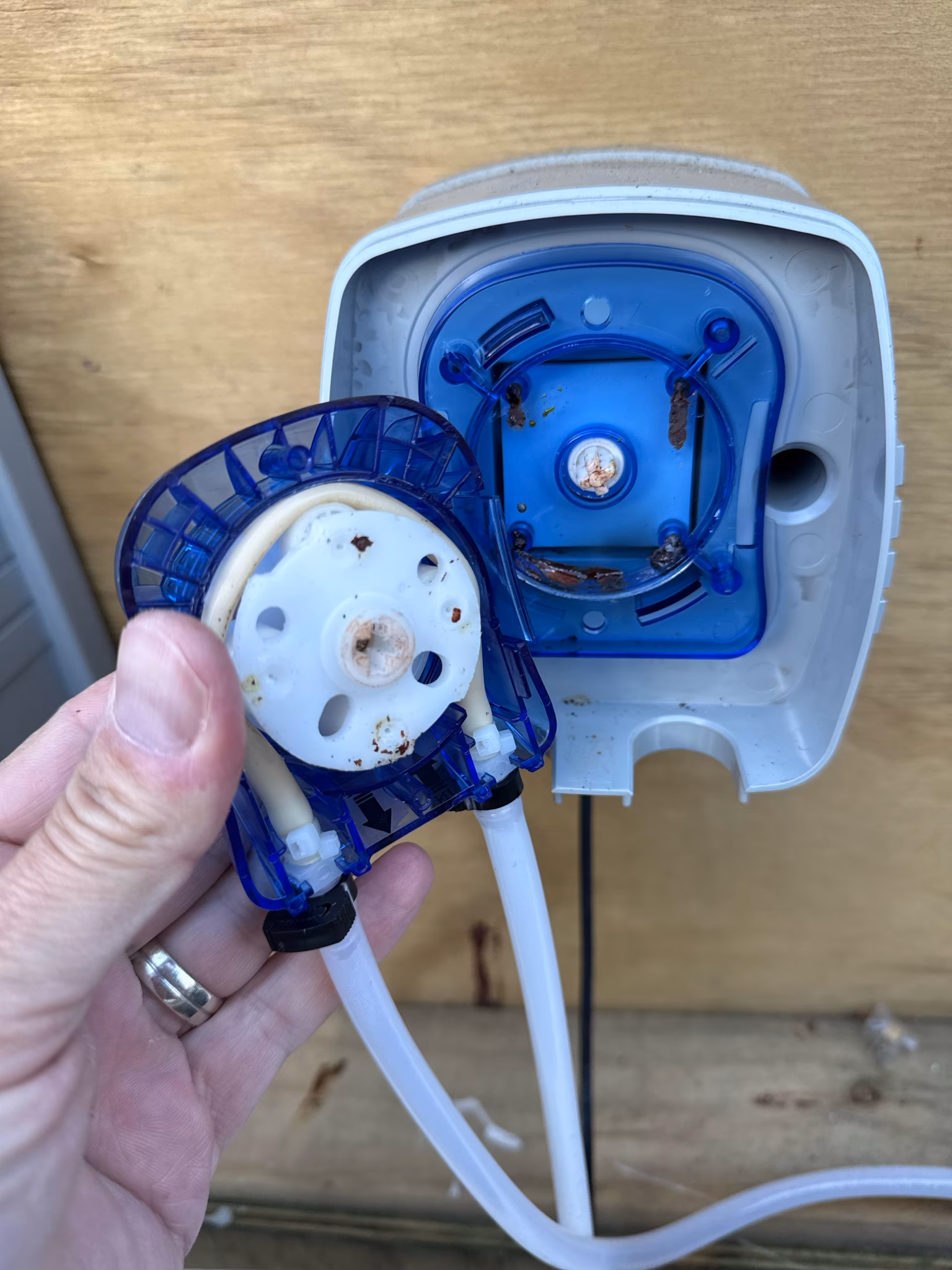 replace the halo ph dosing unit