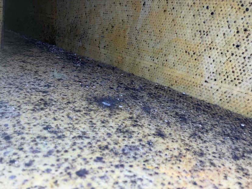 install air scrubbers on both HVAC systems and perform duct cleaning