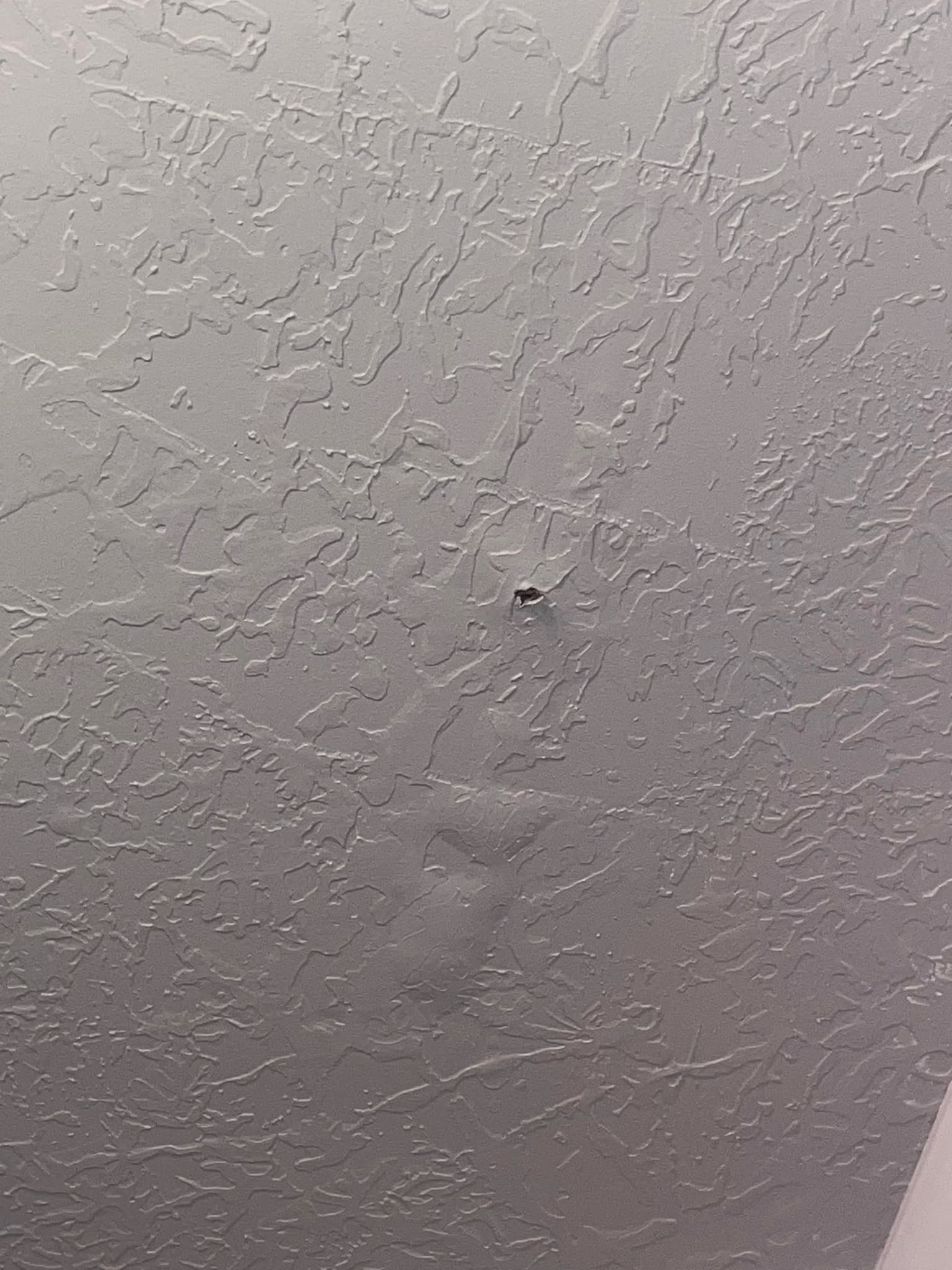 remove and replace bathtub/shower insert and subfloor