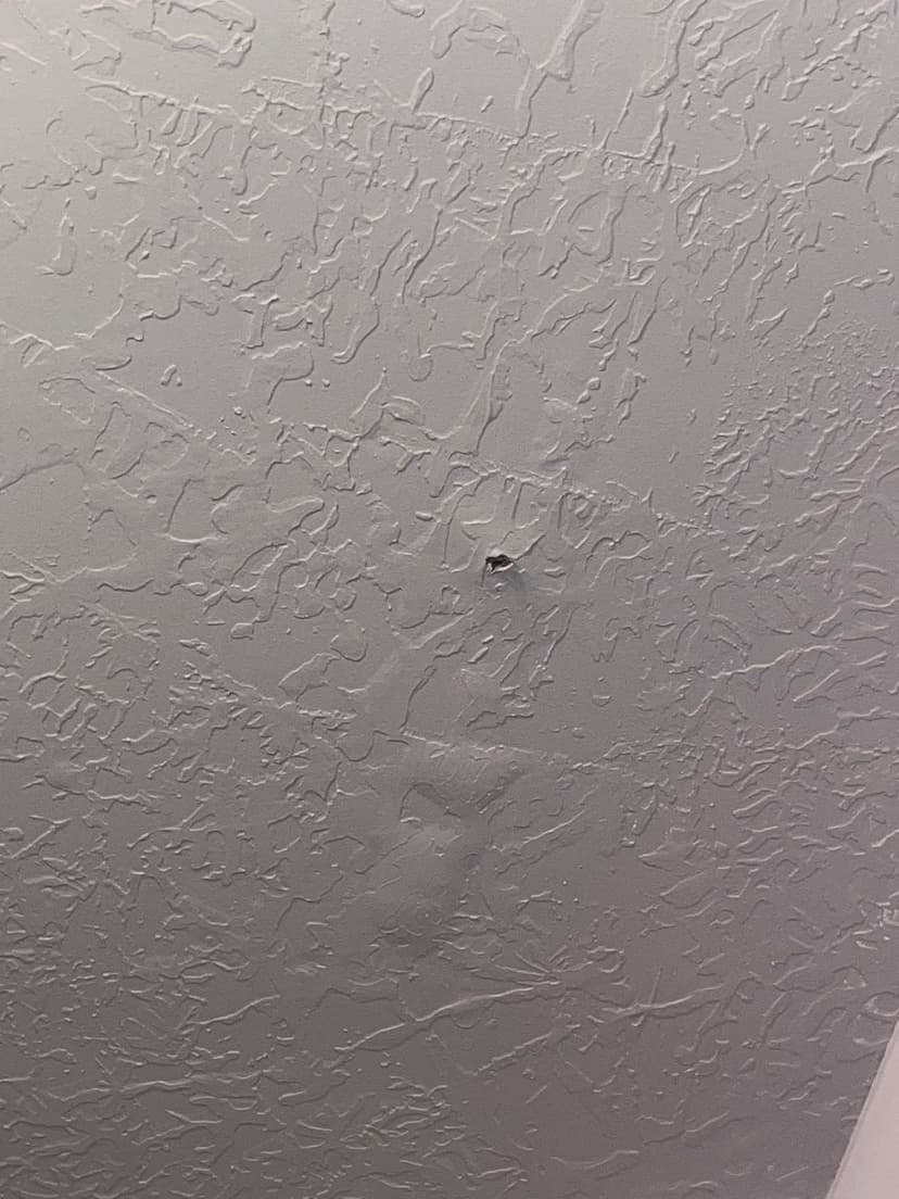 remove and replace bathtub/shower insert and subfloor