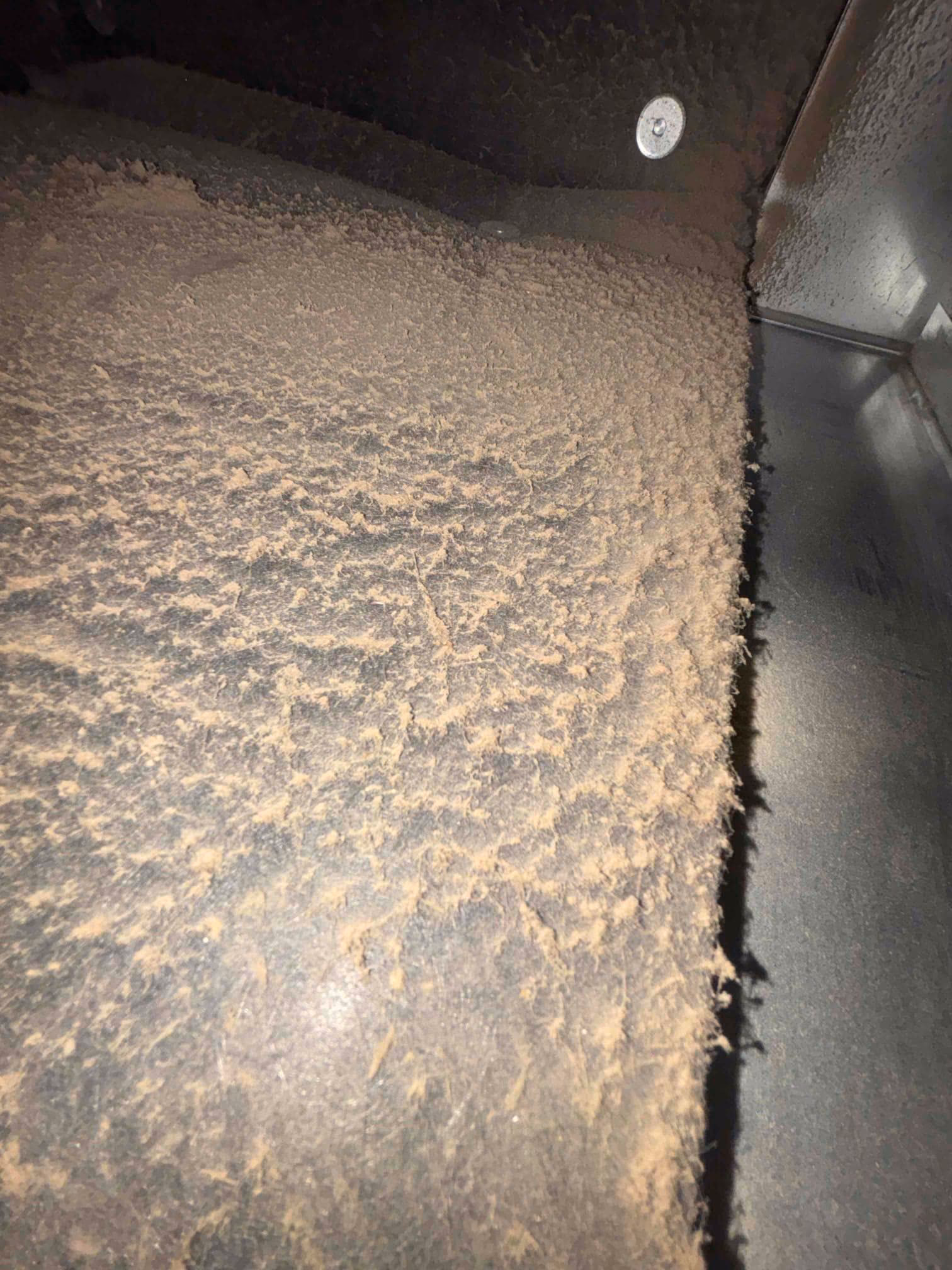 clean the hvac plenum and blower
