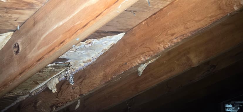 treat the underside of the roof and fog a supplemental part of the attic