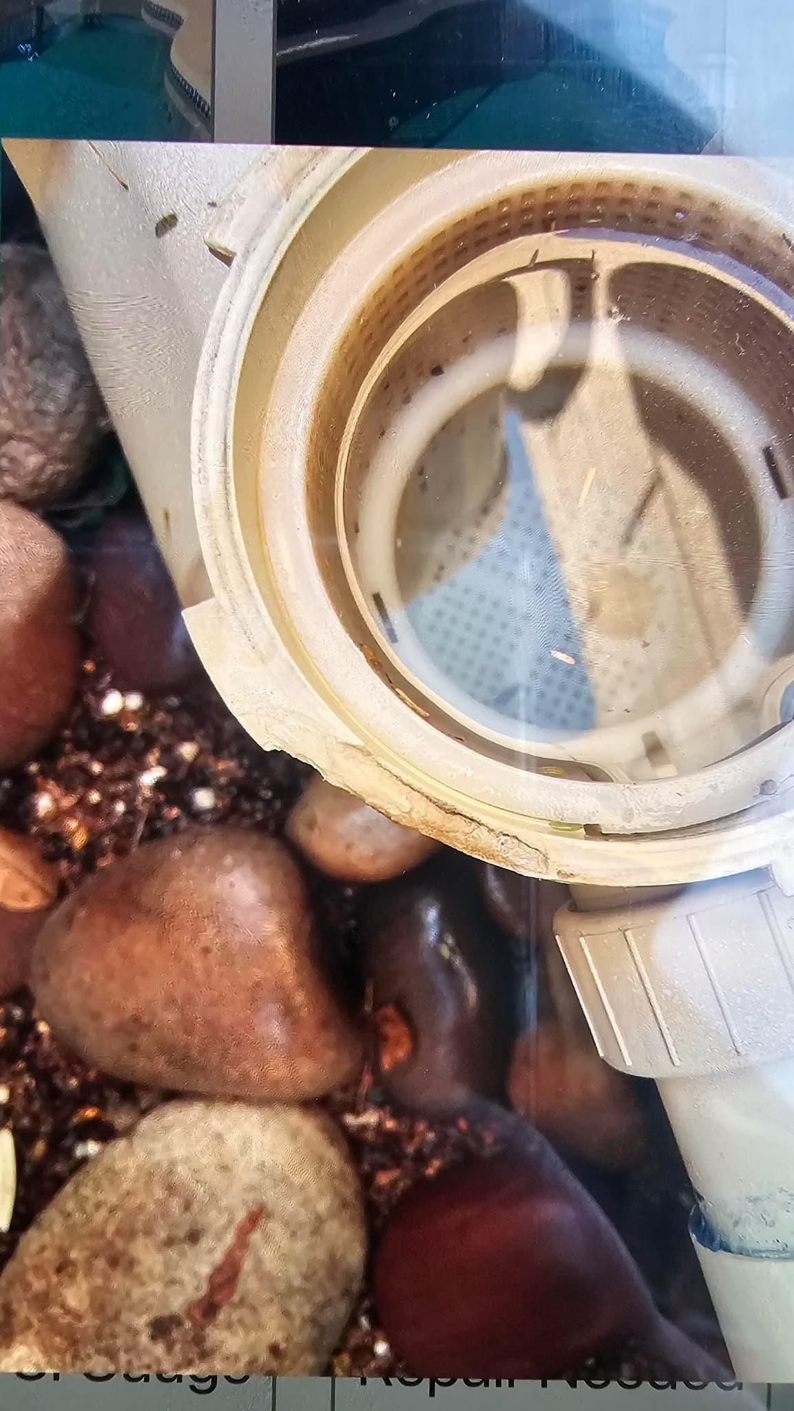 whisperflo front housing replacement