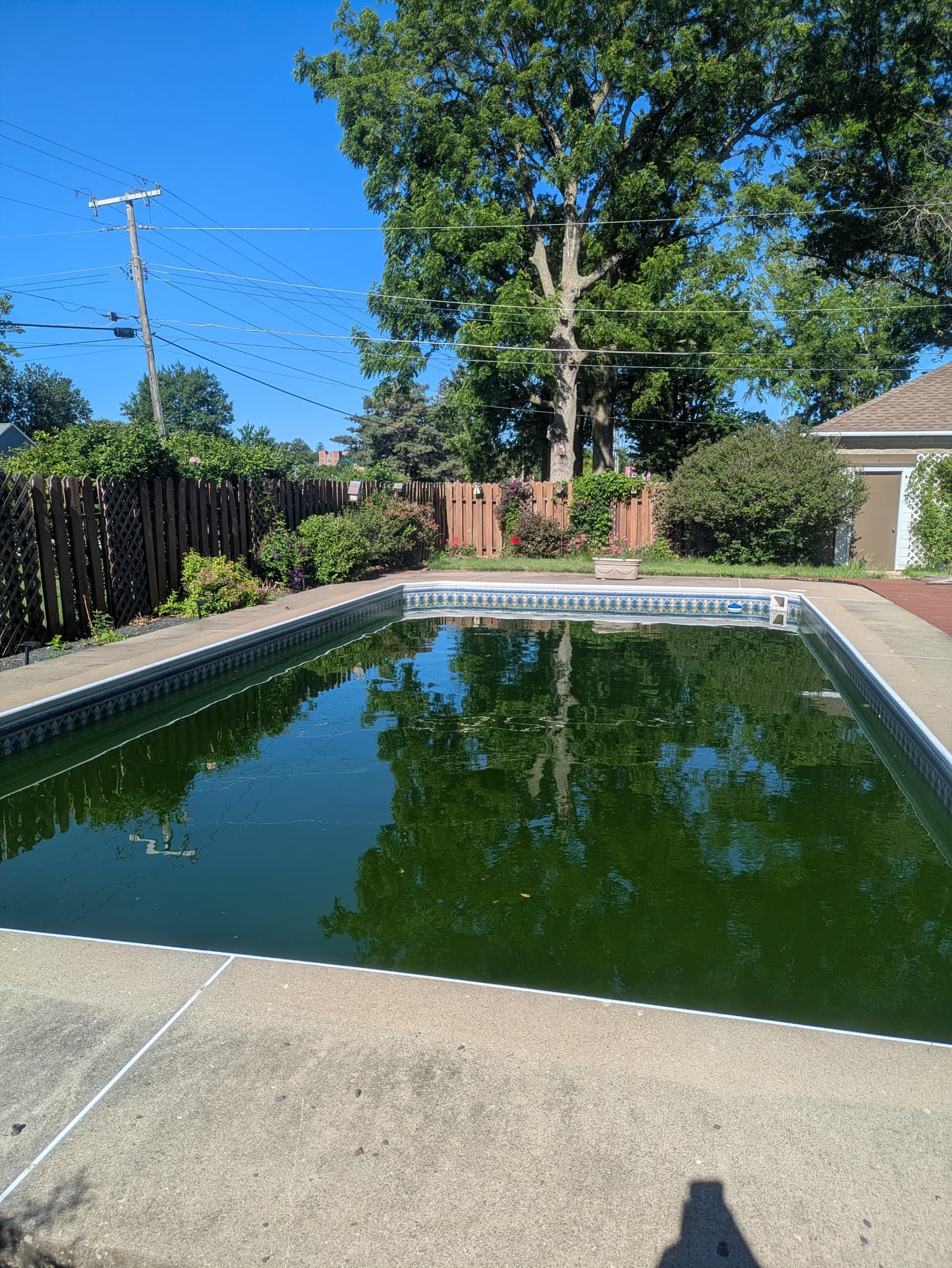 open the pool for the season