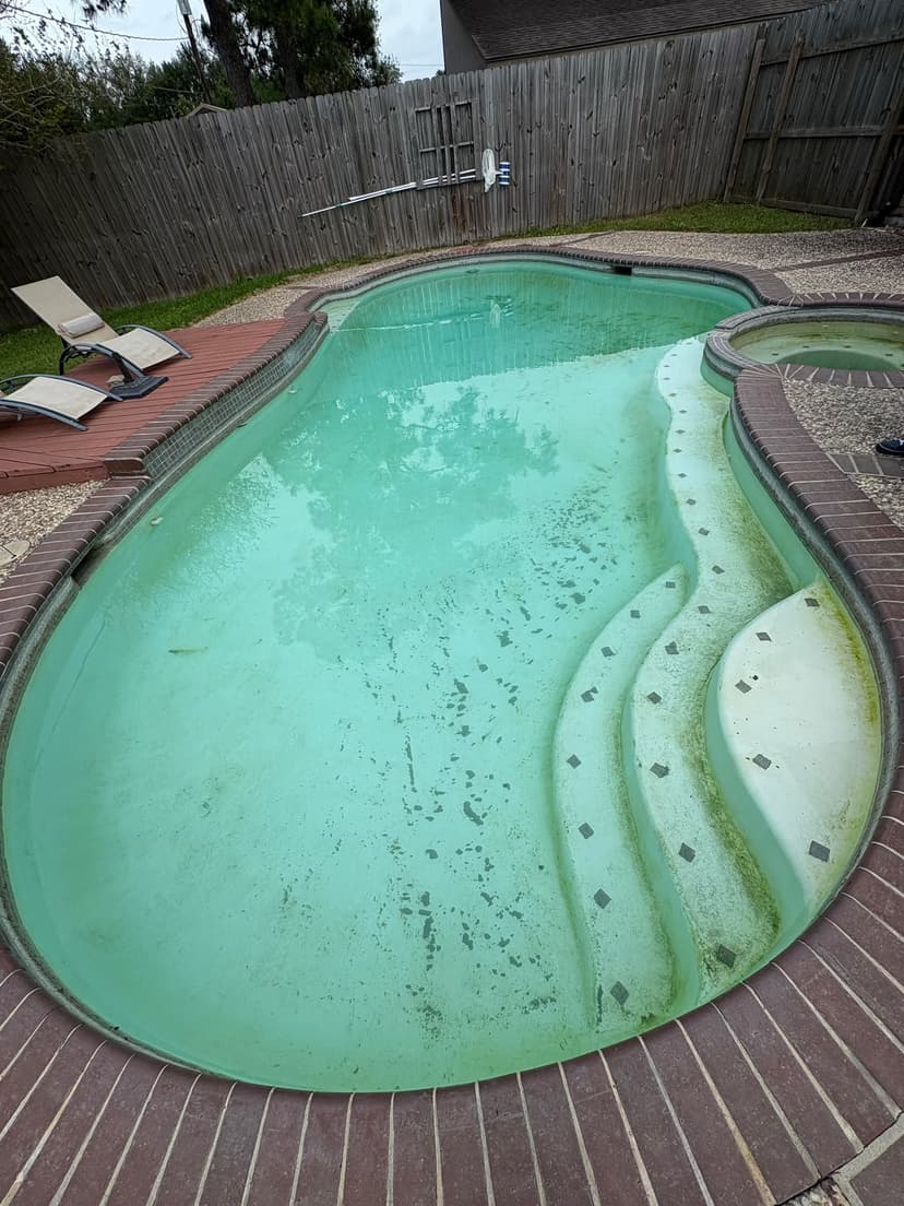 deep clean the pool and replace filter components