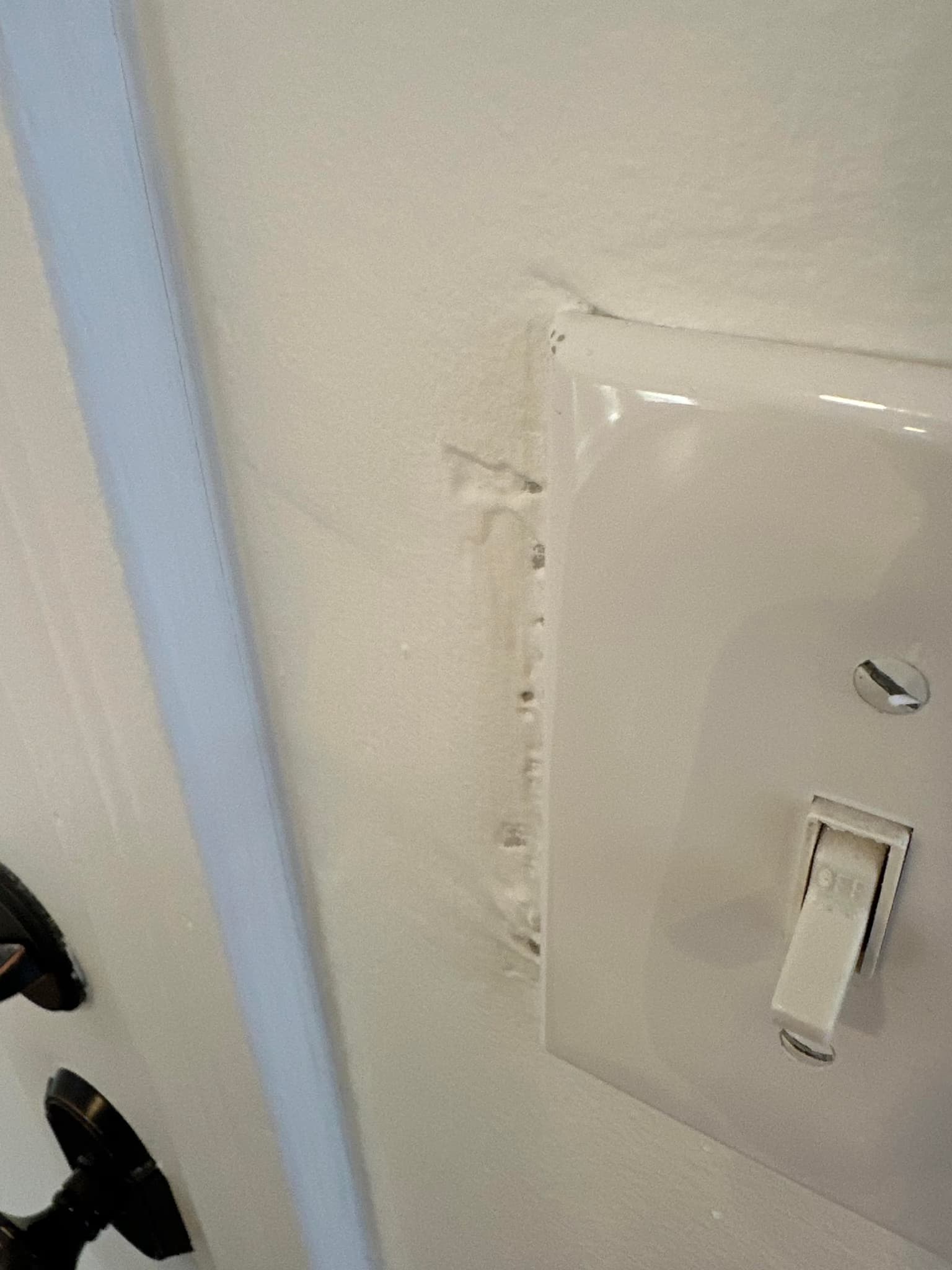 paint ceiling, walls, and trim including sanding and patching