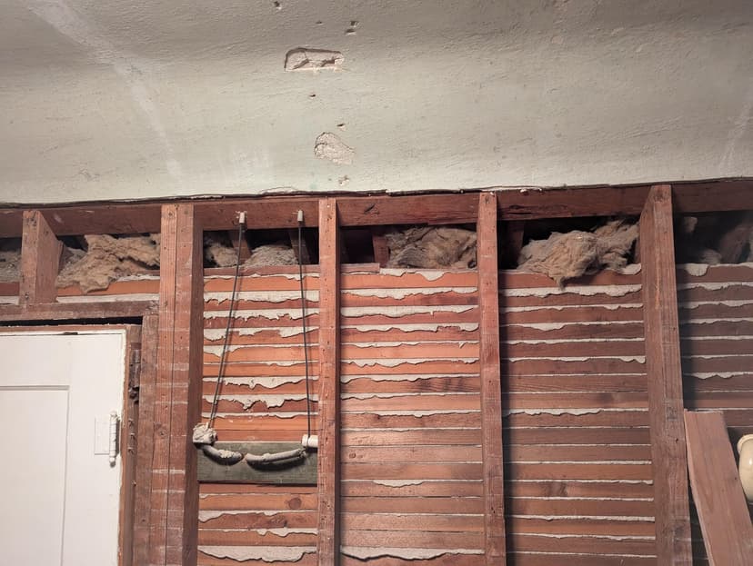 remove insulation and bat guano