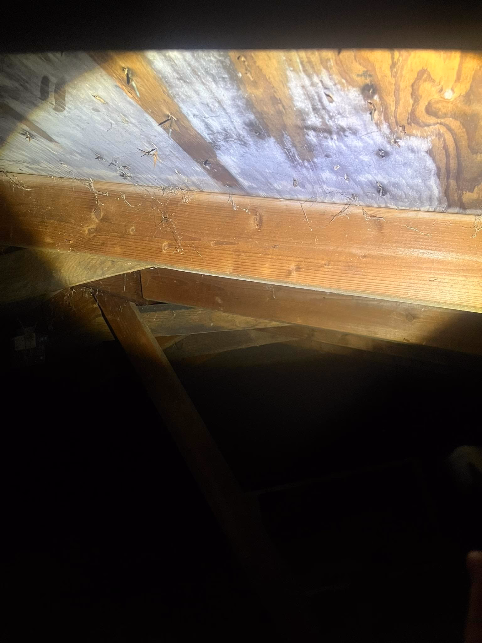 total attic re-insulation