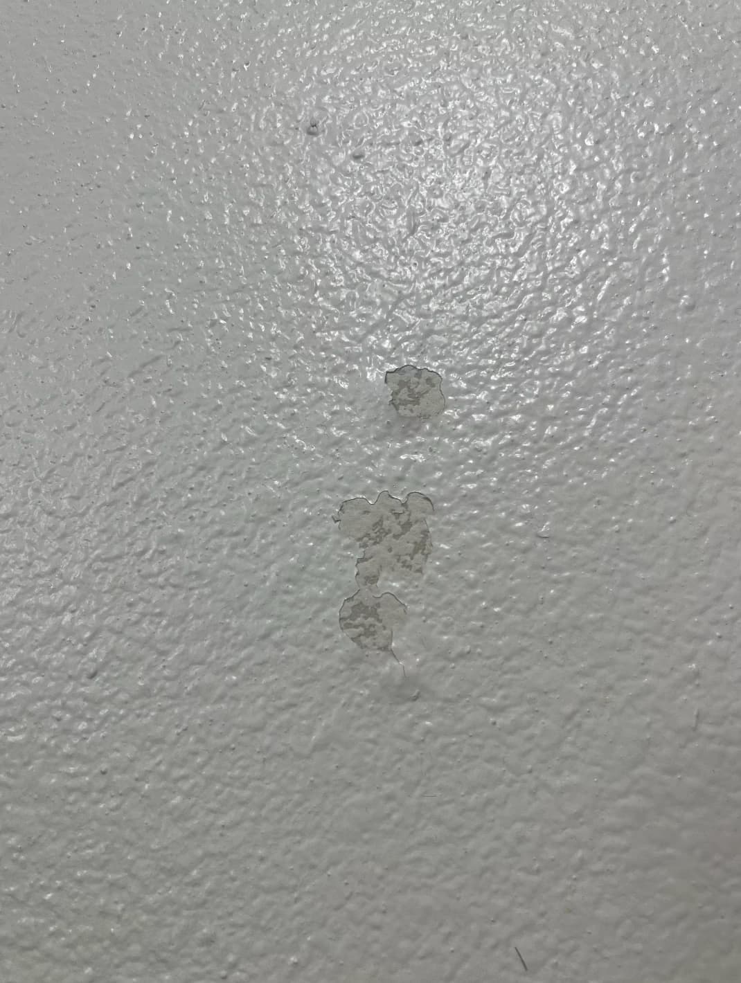 repair paint chips on a wall in a rental unit