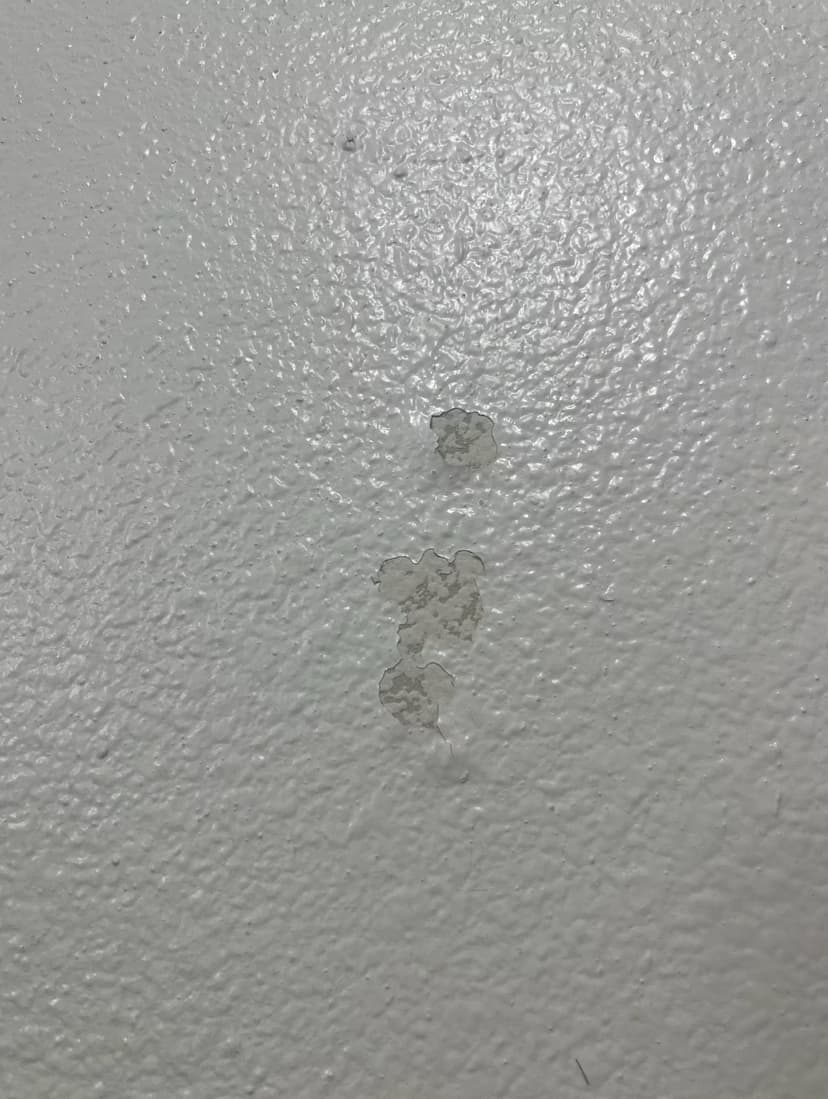 repair paint chips on a wall in a rental unit