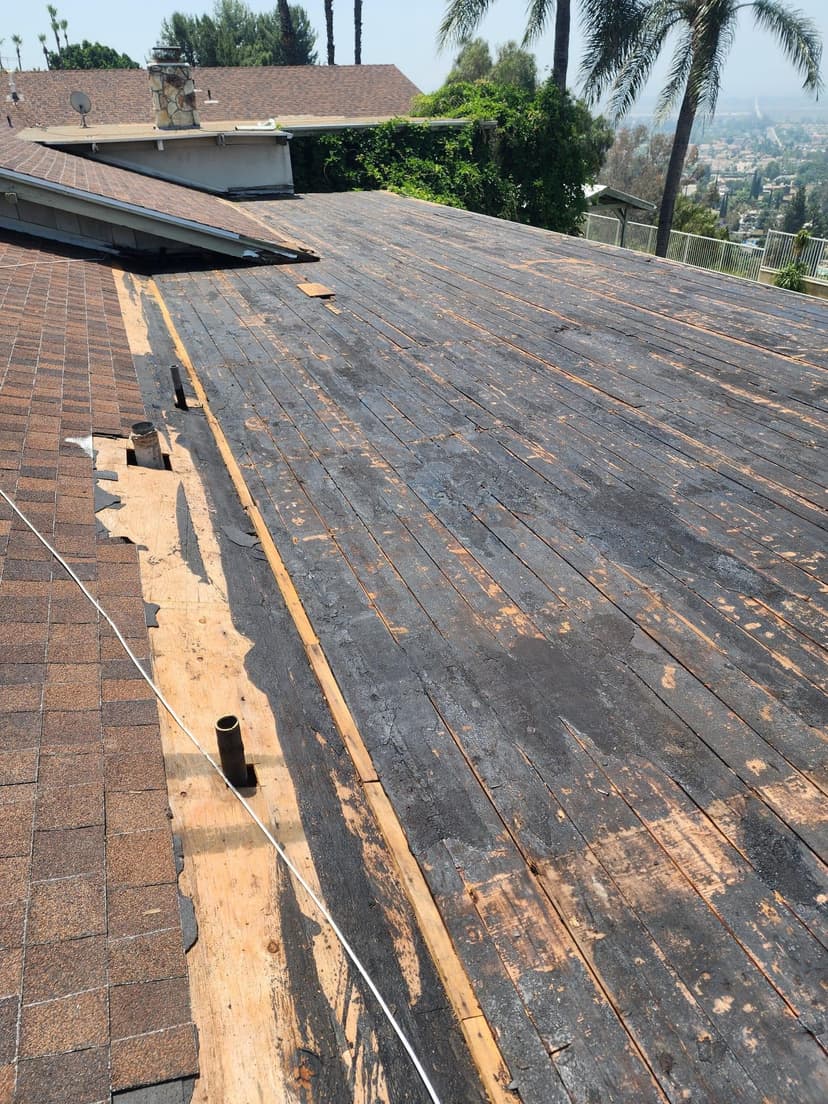 add 1,200 sqft of plywood to my roof