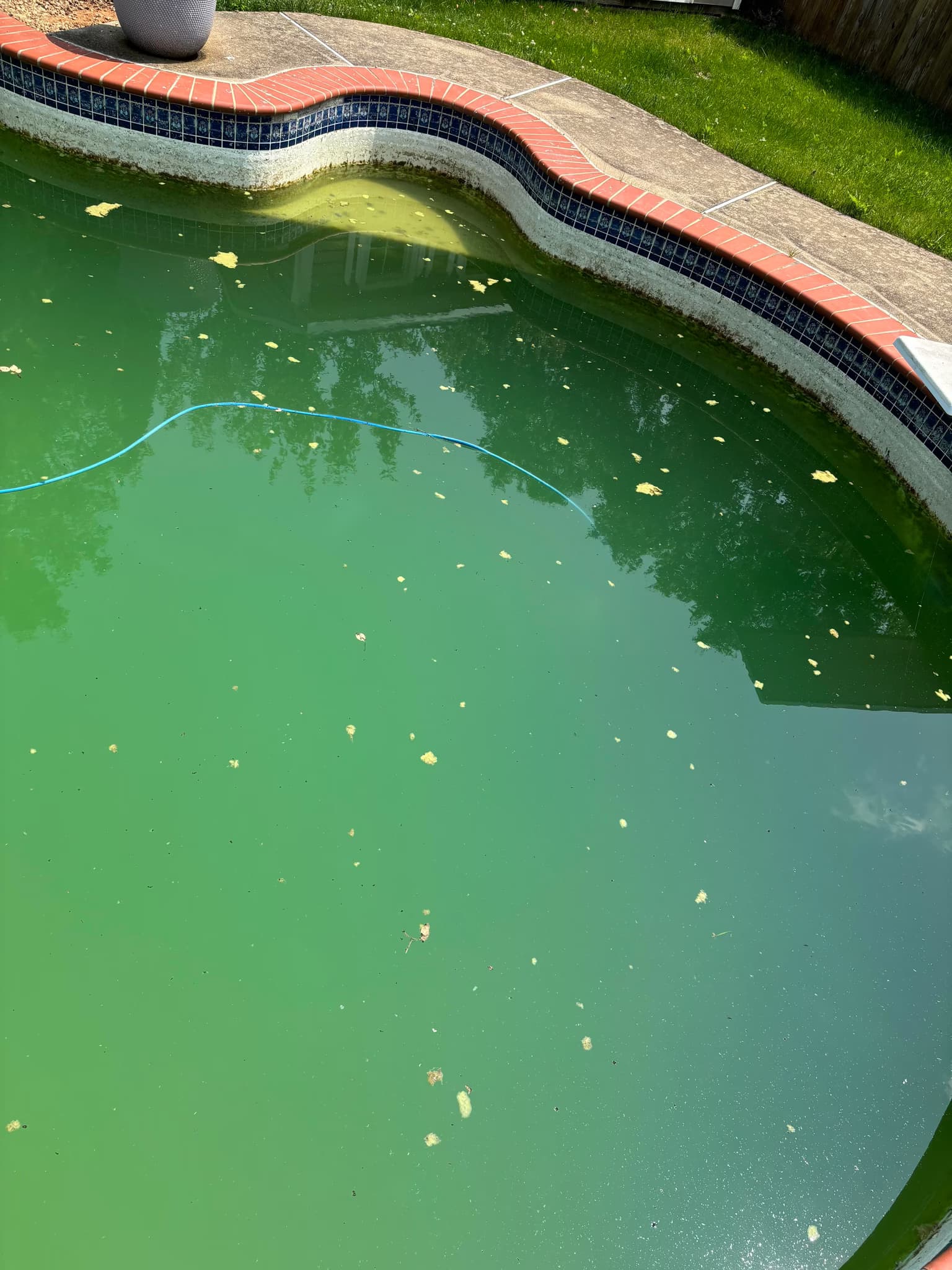 drain and clean a pool