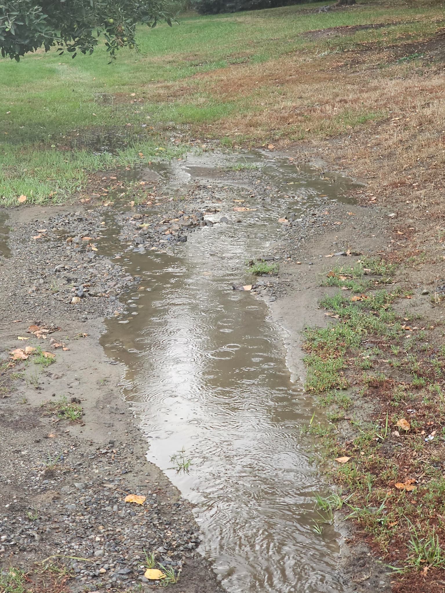 install a 12-inch HDPE culvert to manage storm water