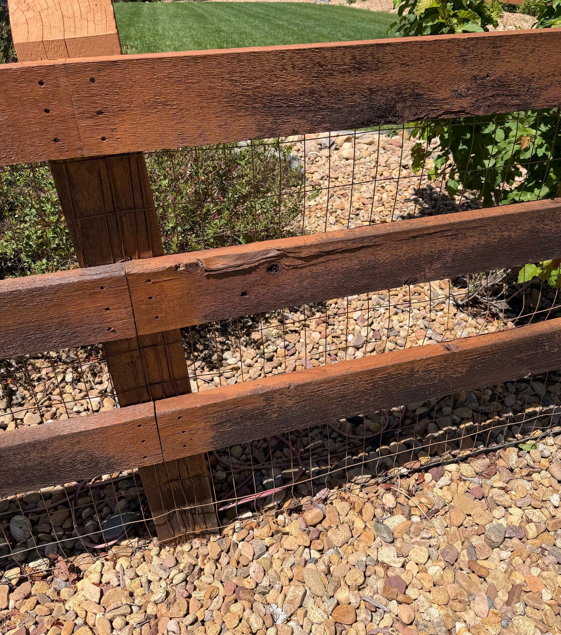 restain fence with fuller-coverage product