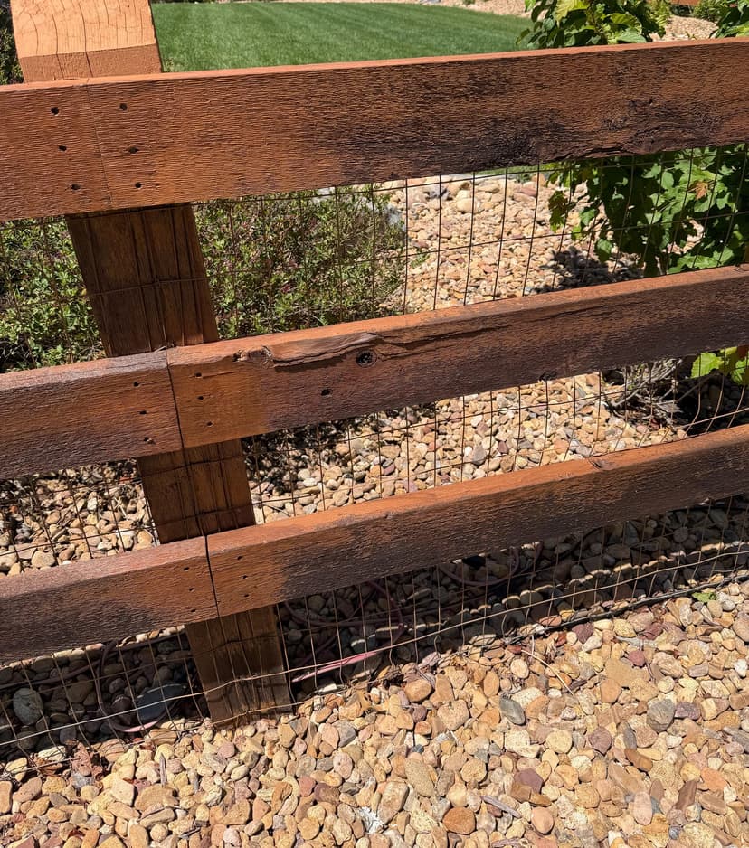 restain fence with fuller-coverage product