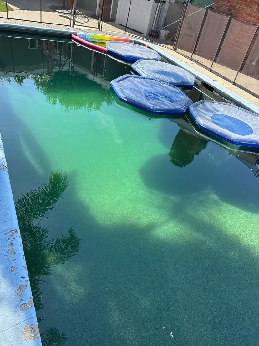 add treatment and clean a pool filter to clear green water