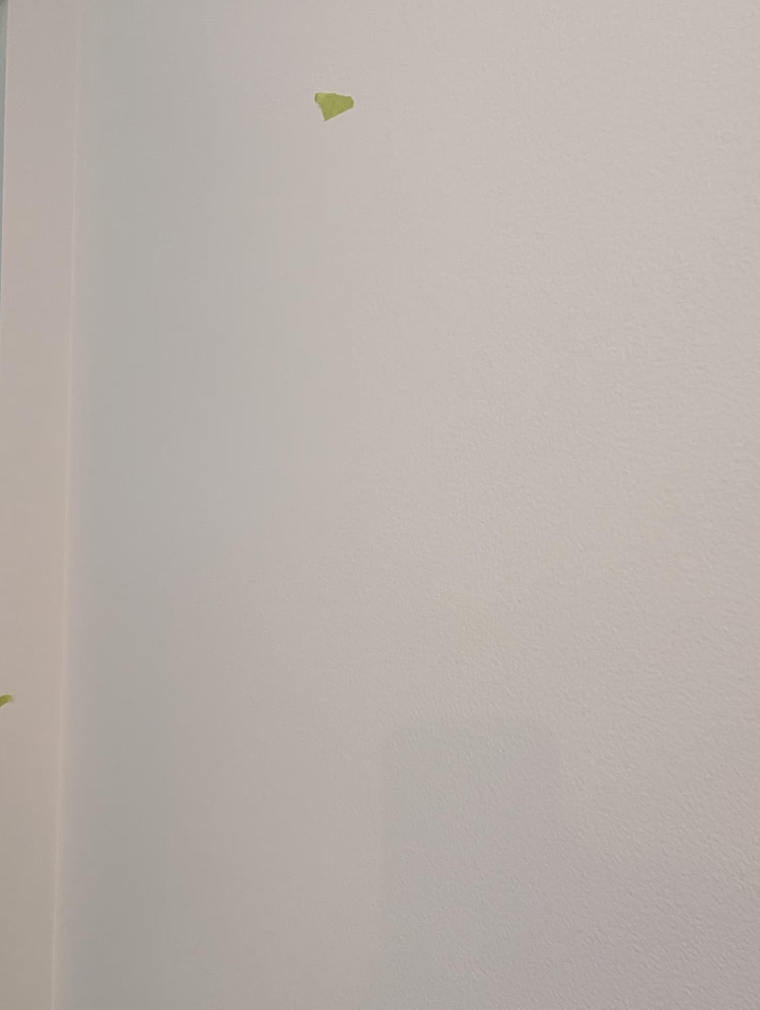 comprehensive paint remediation and refinishing
