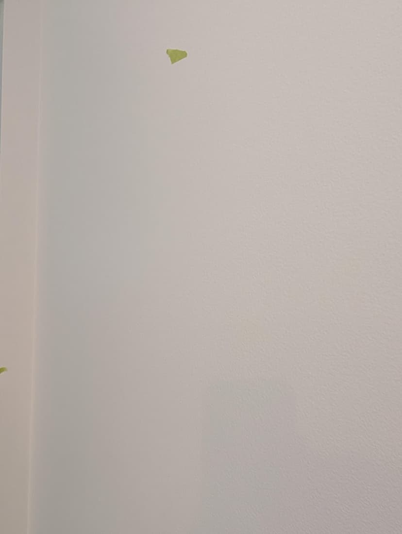 comprehensive paint remediation and refinishing