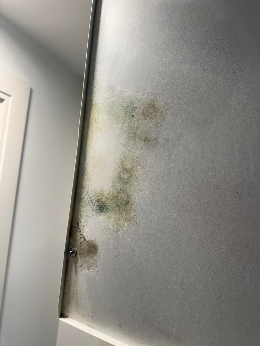 detect and fix an HVAC leak