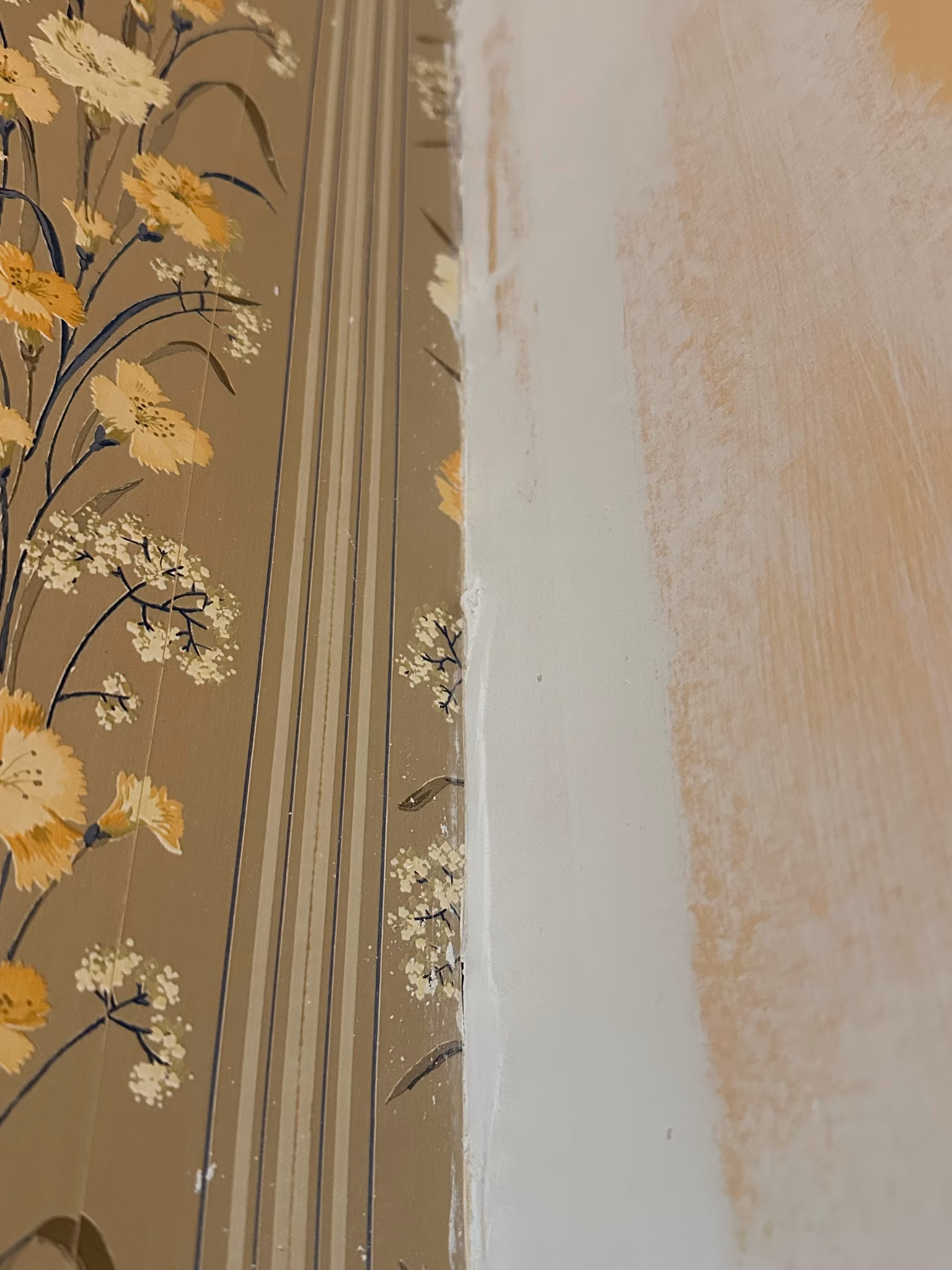 drywall tape replacement and remudding