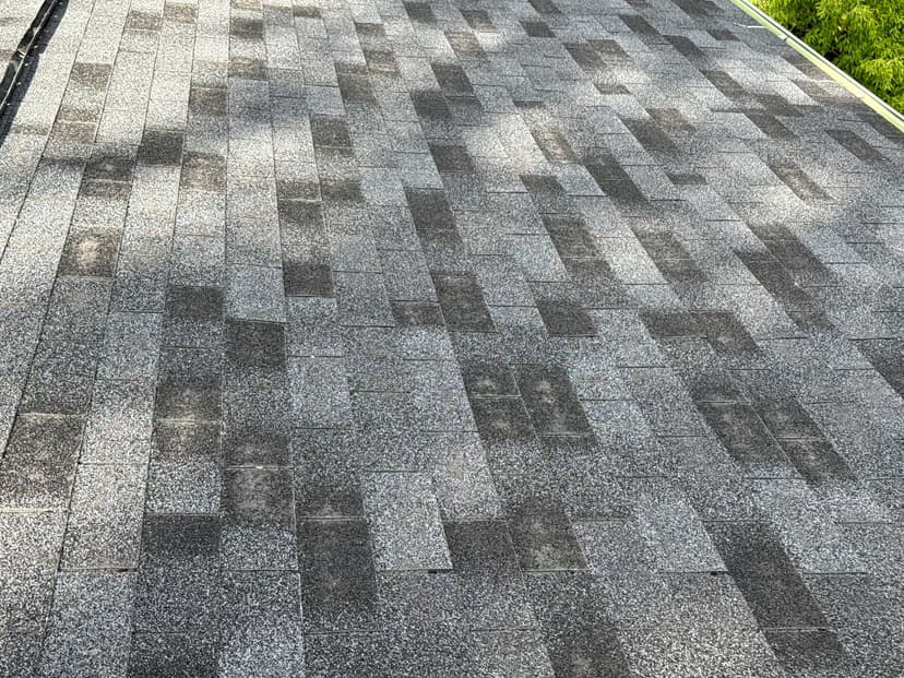 tear off and rebuild roof with new gutters