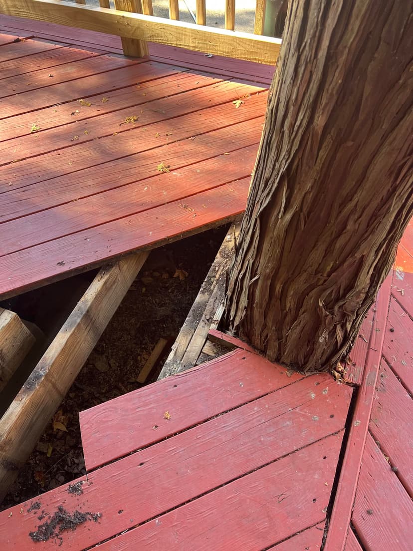 widen gap around a tree in the deck