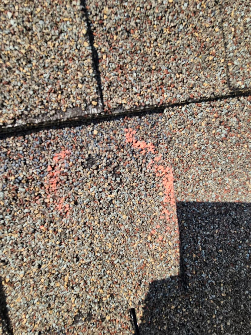 replace entire roof to grade 3 and two stories of rain gutters