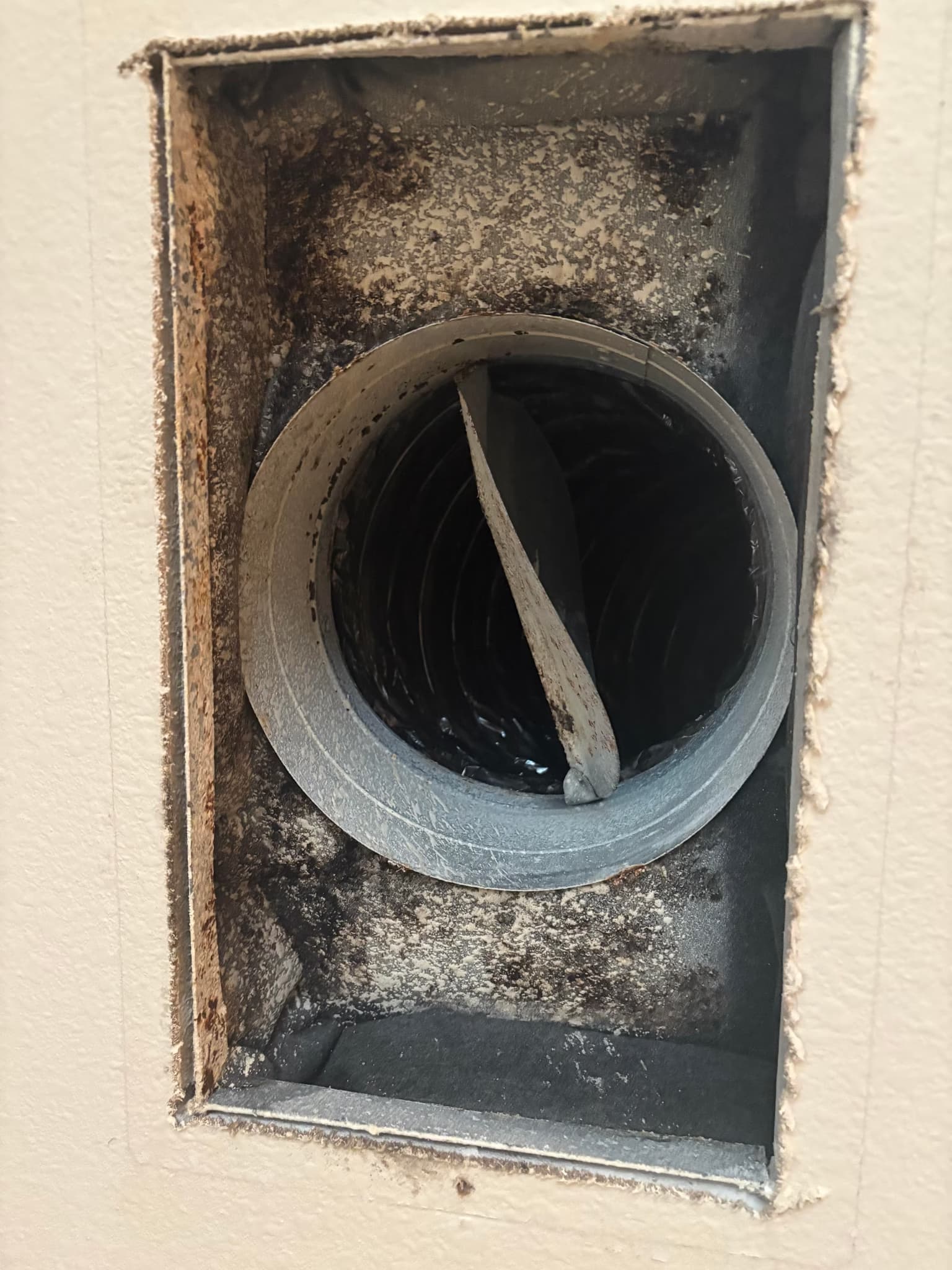 clean HVAC system for mold
