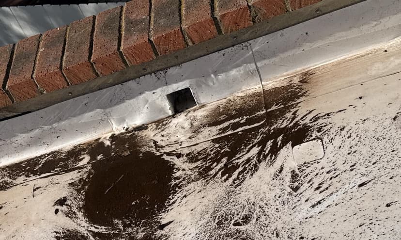 reseal the entire TPO roof