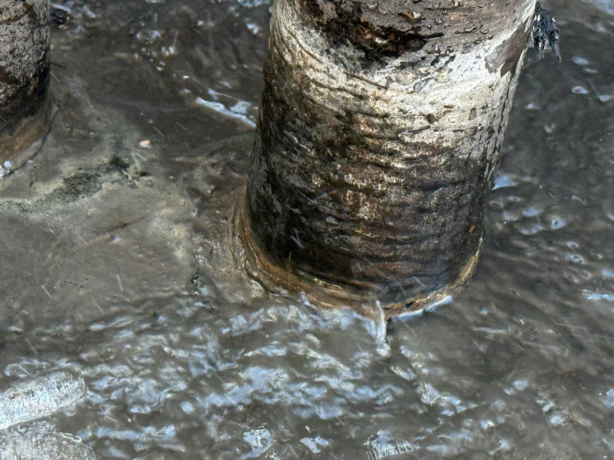 patch roof leaks around plumbing vents