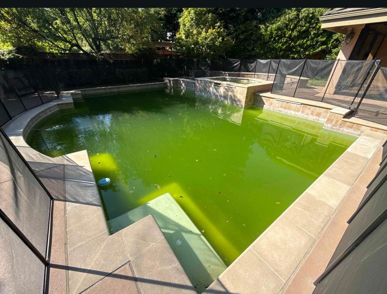 get a green pool clean