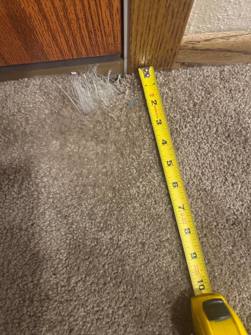 replace an 8x8 inch carpet patch