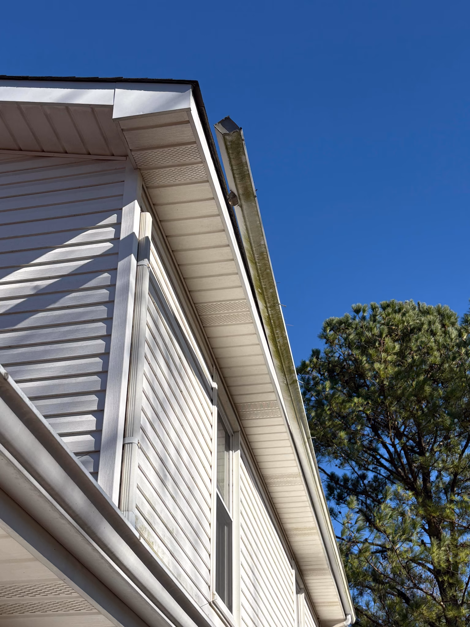 repair a gutter, clean it out, and reattach a downspout