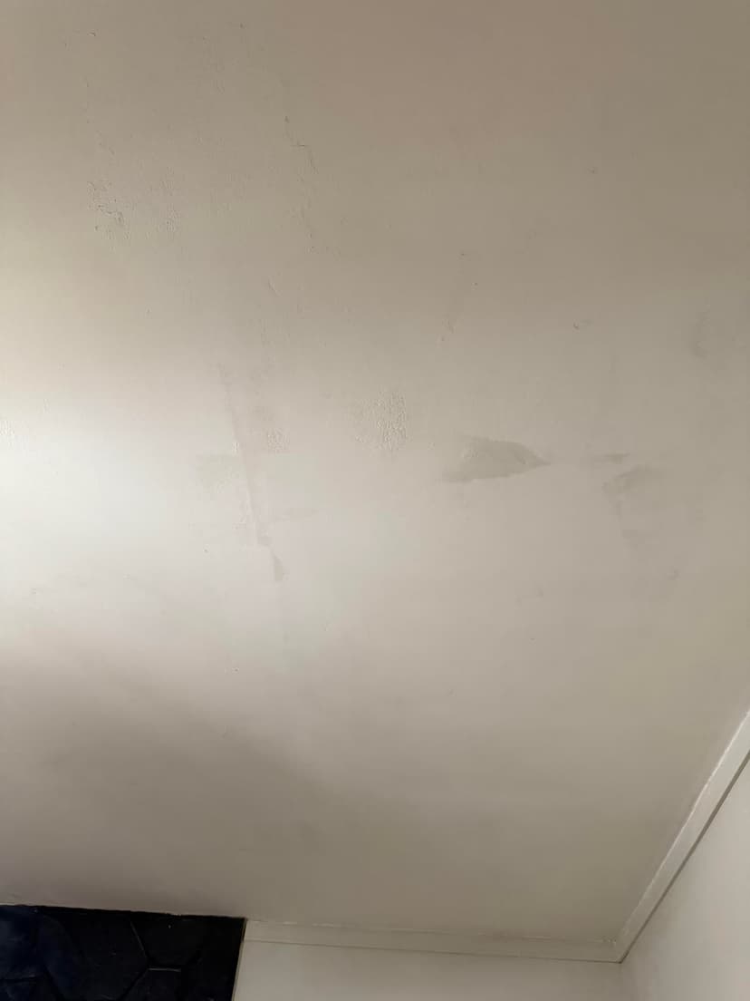 remove popcorn ceilings and paint them