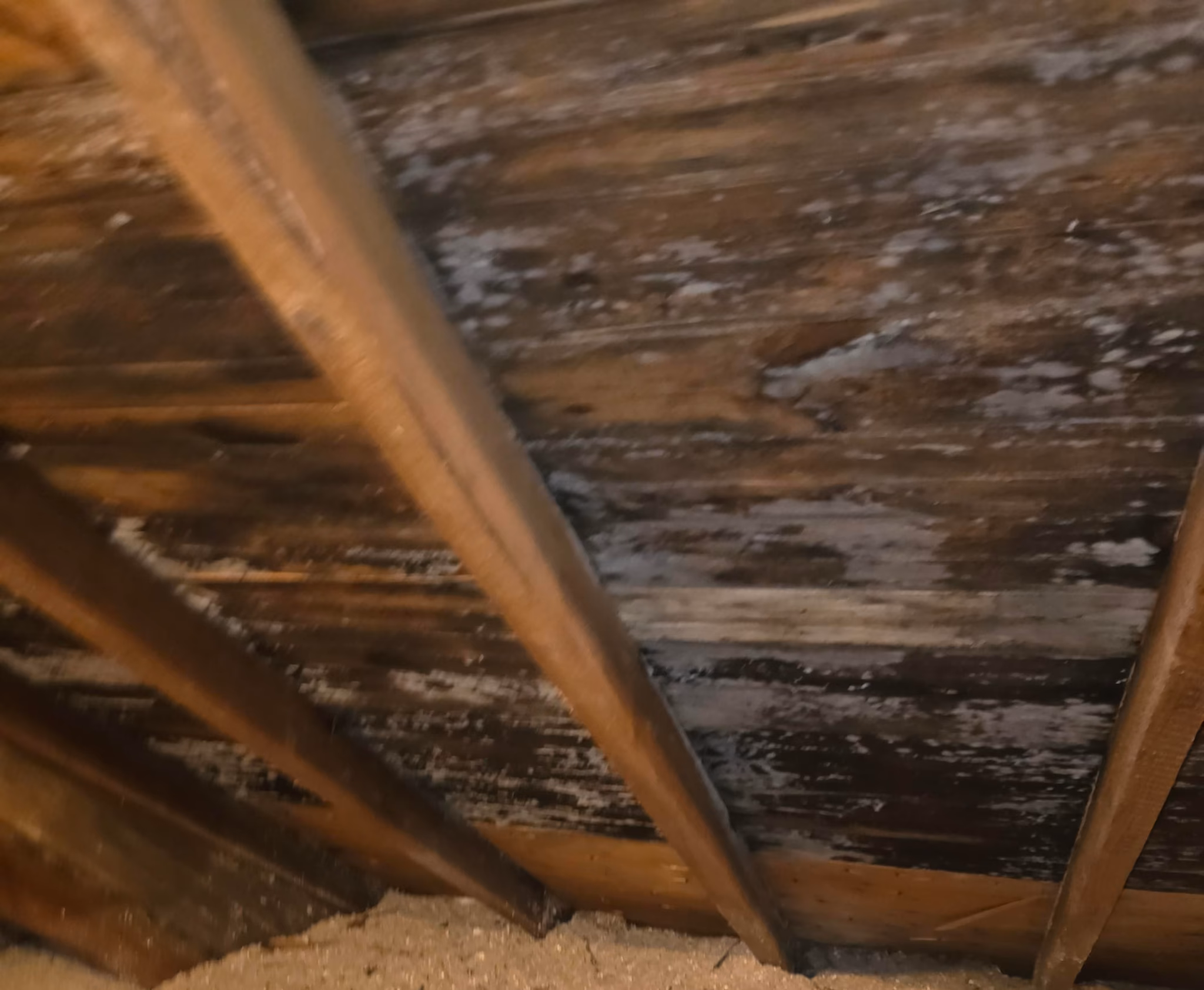 replace half of roof and decking