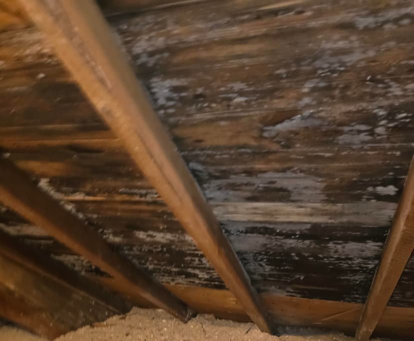 replace half of roof and decking