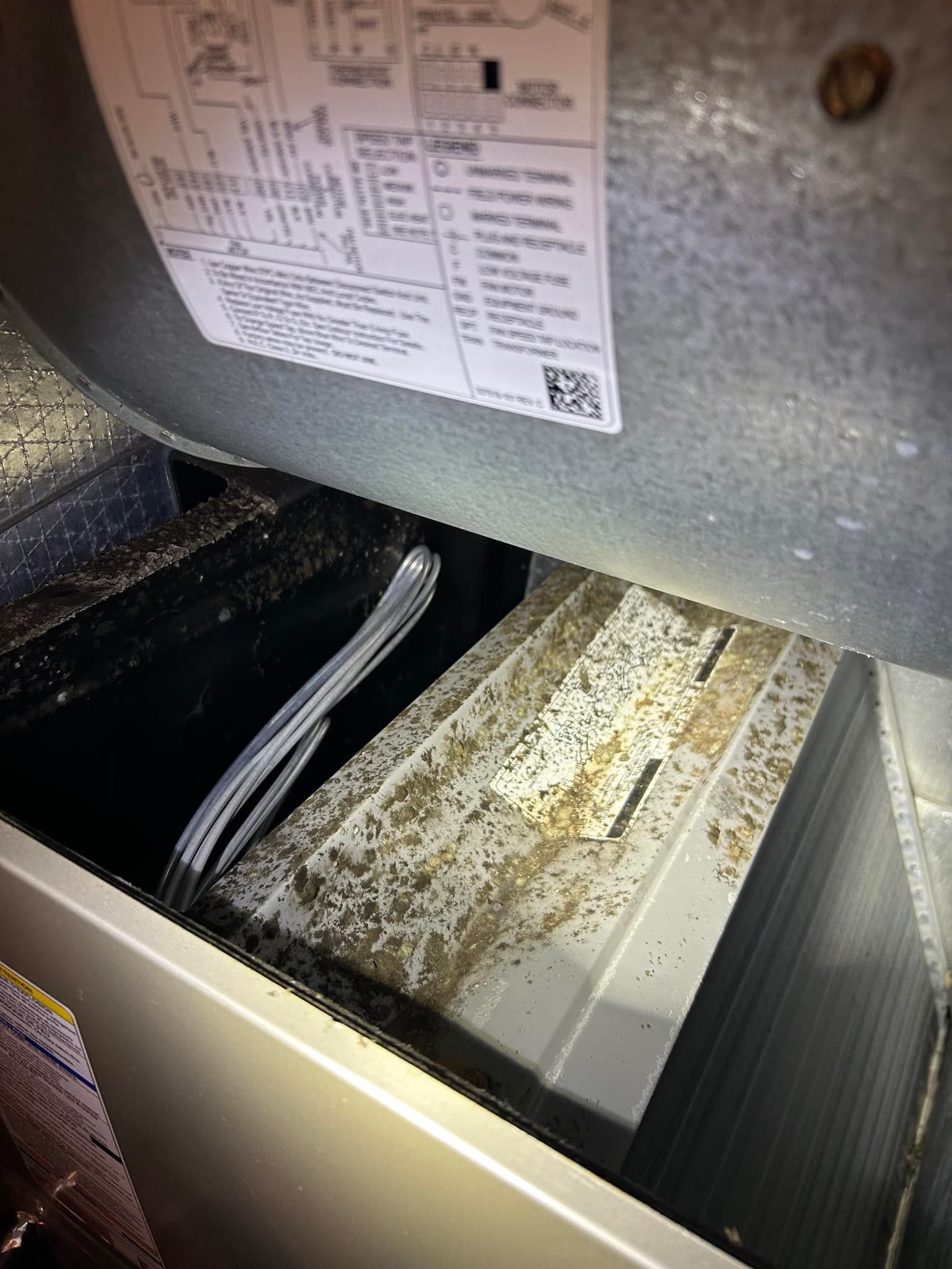 remediate mold and bacteria in HVAC system