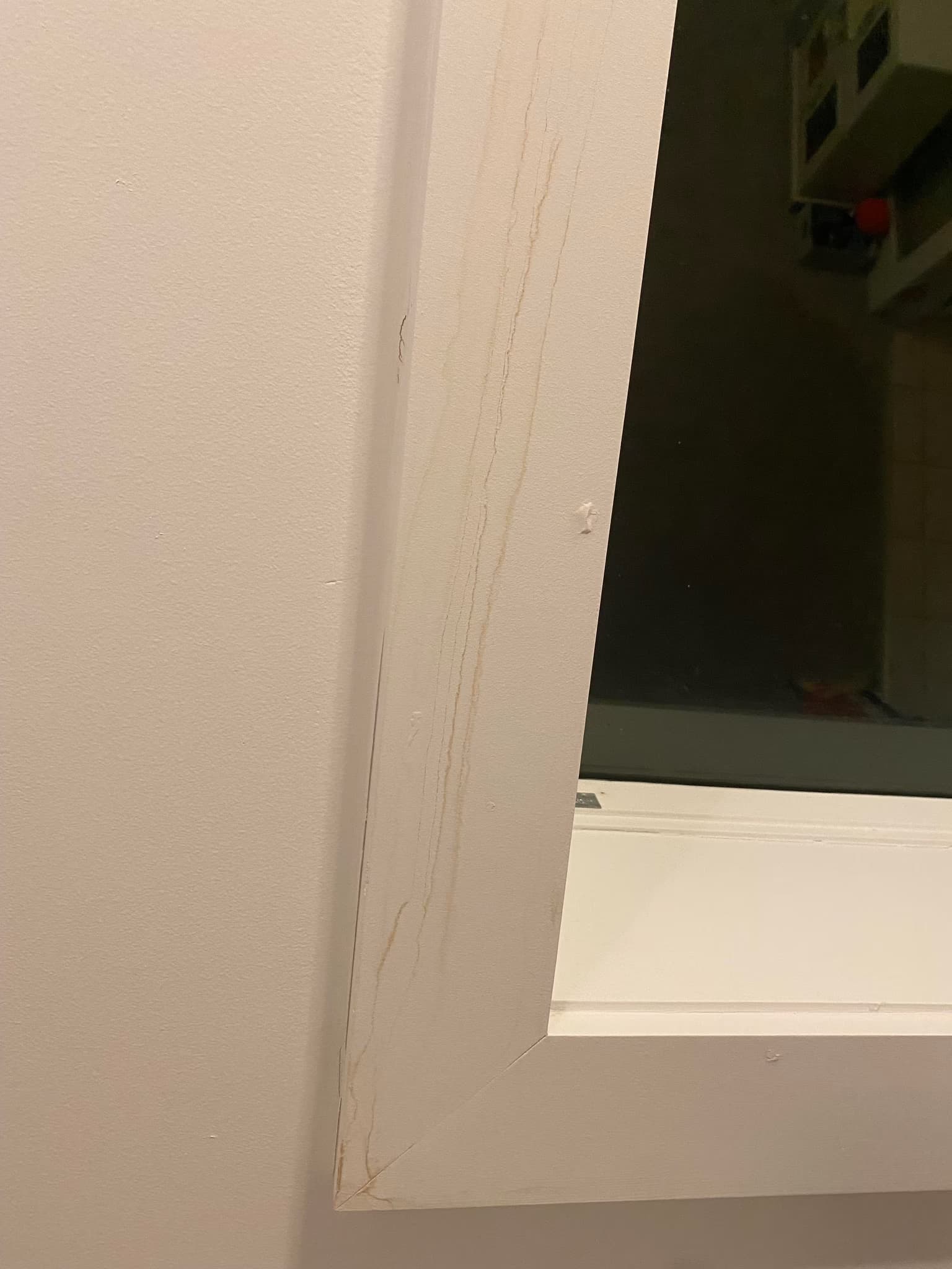 replace leaking skylight and repair ceiling/wall