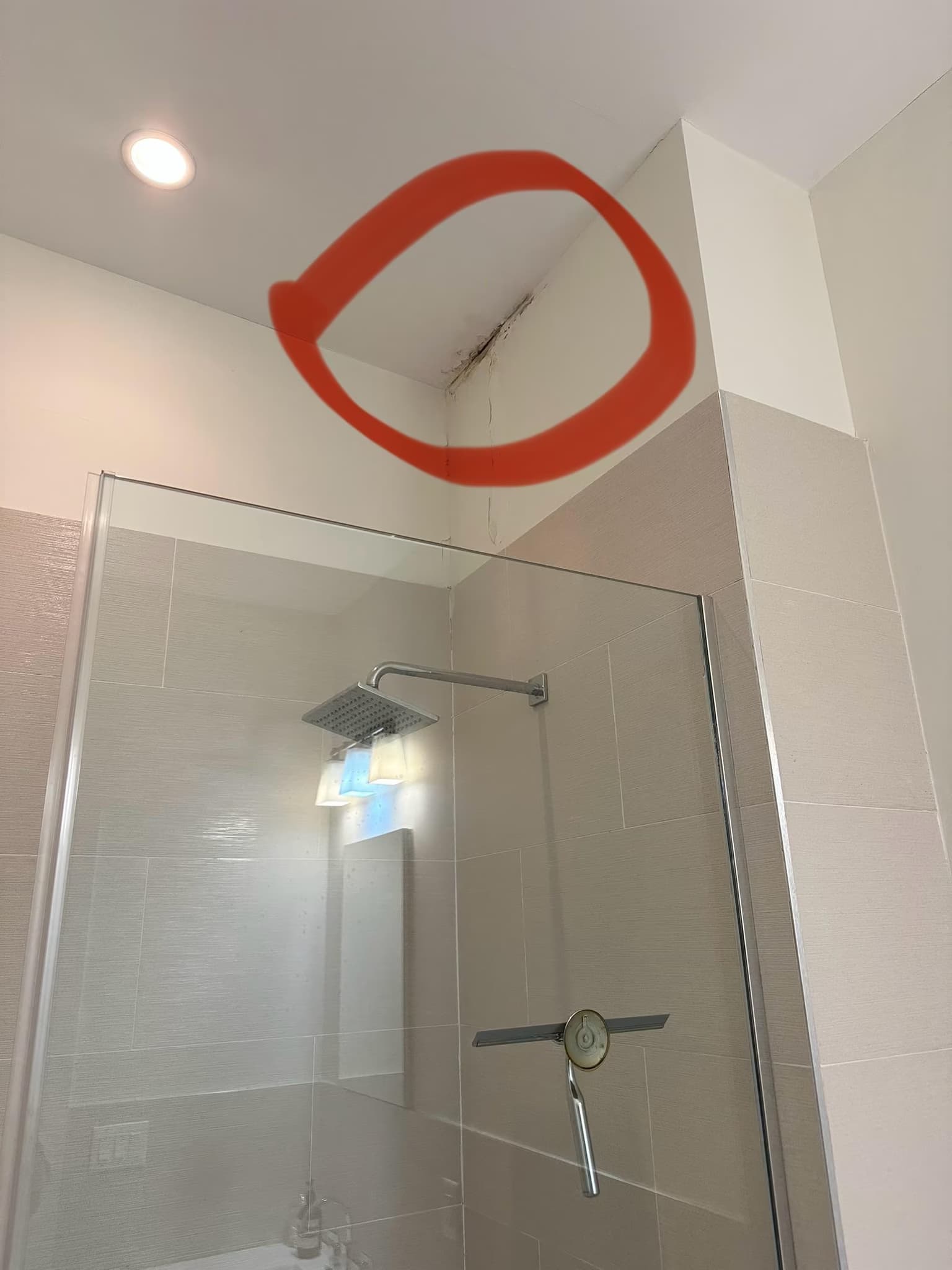 repair and waterproof a leaking flat roof