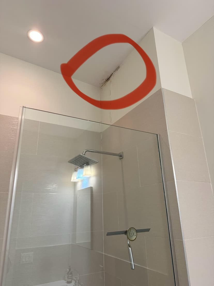 repair and waterproof a leaking flat roof