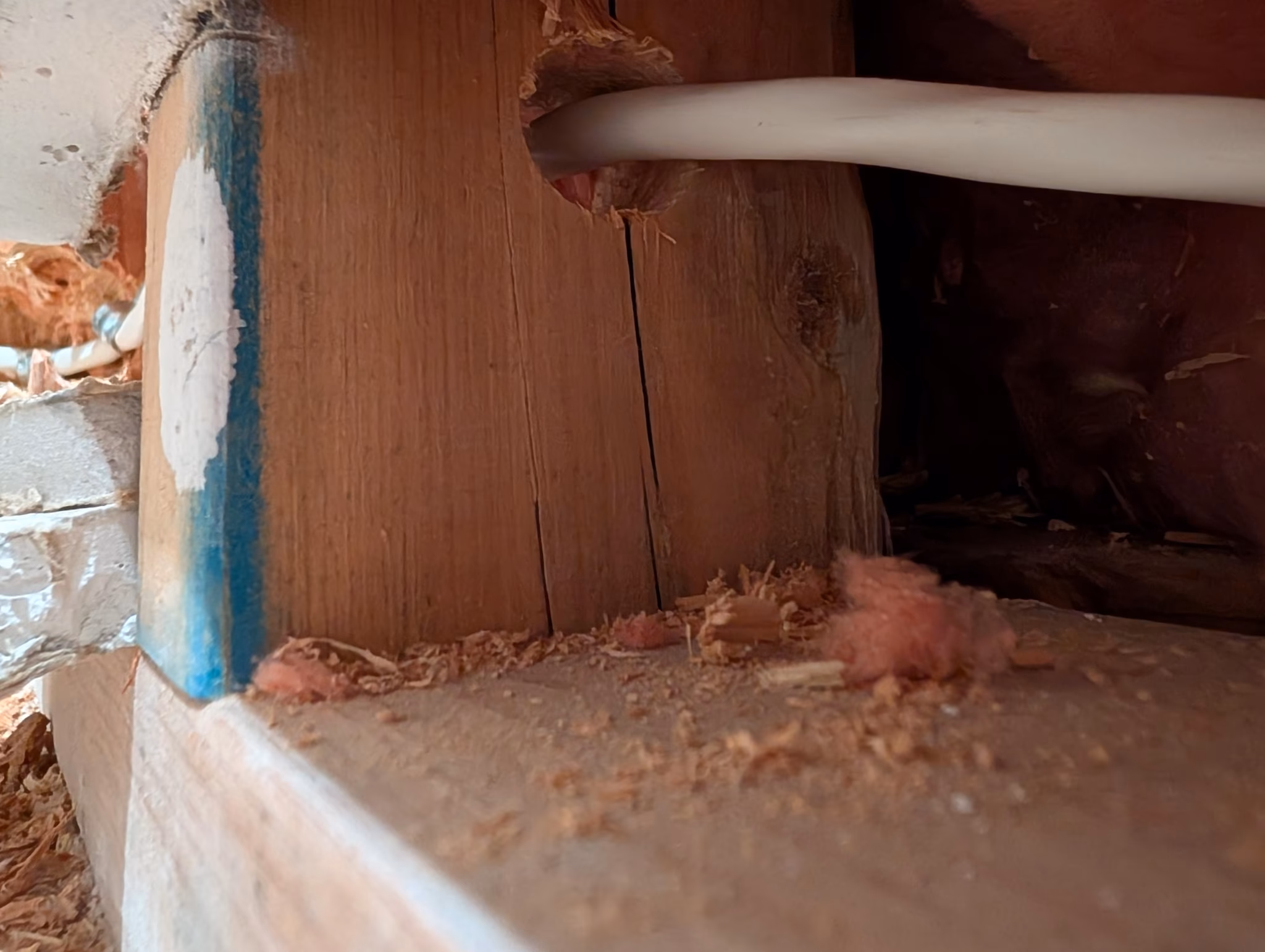 install 24 pot lights throughout the home