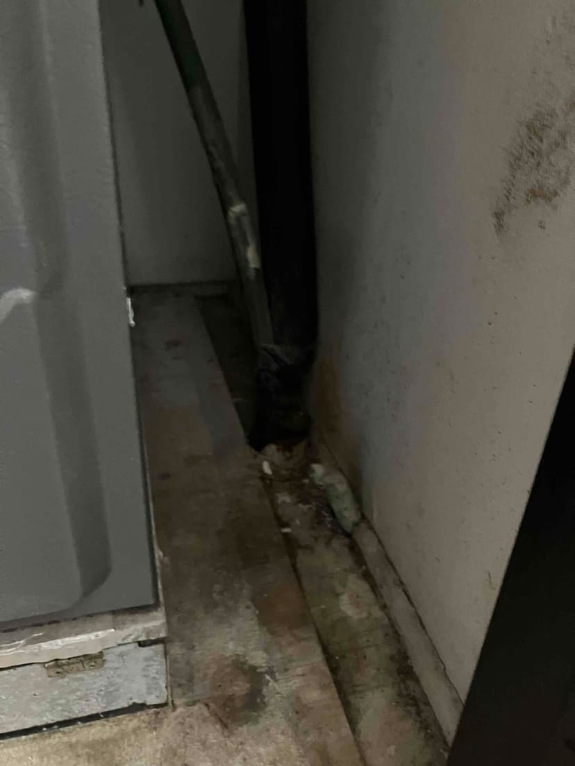 hvac system repairs and biological growth remediation