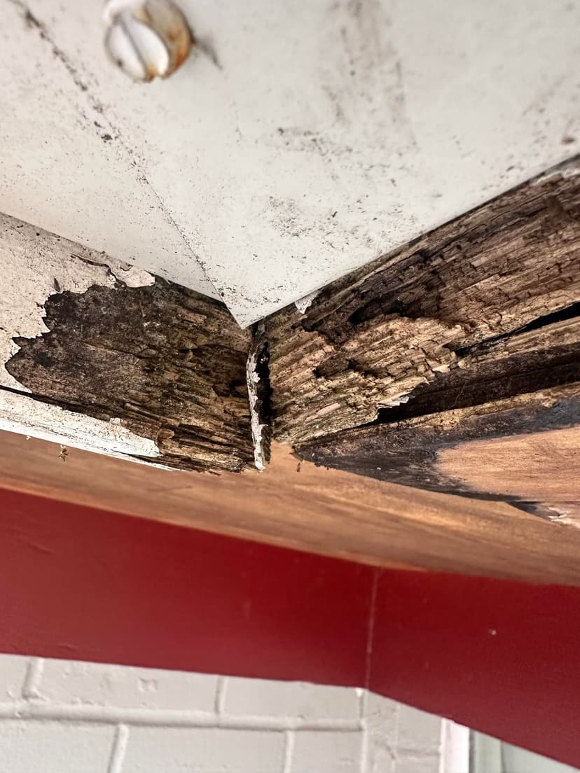 replace rotting soffit and fascia