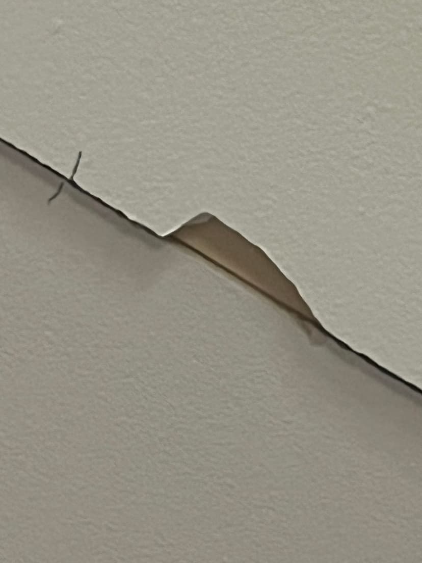repair ceiling cracks and paint living area